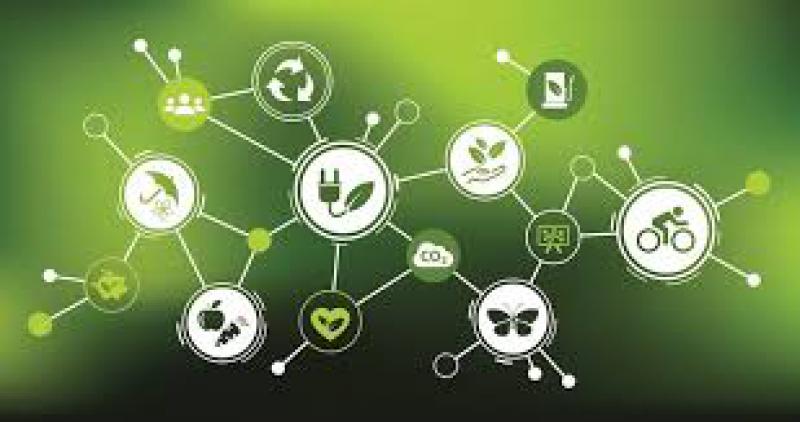 Bioeconomia nell'arco alpino