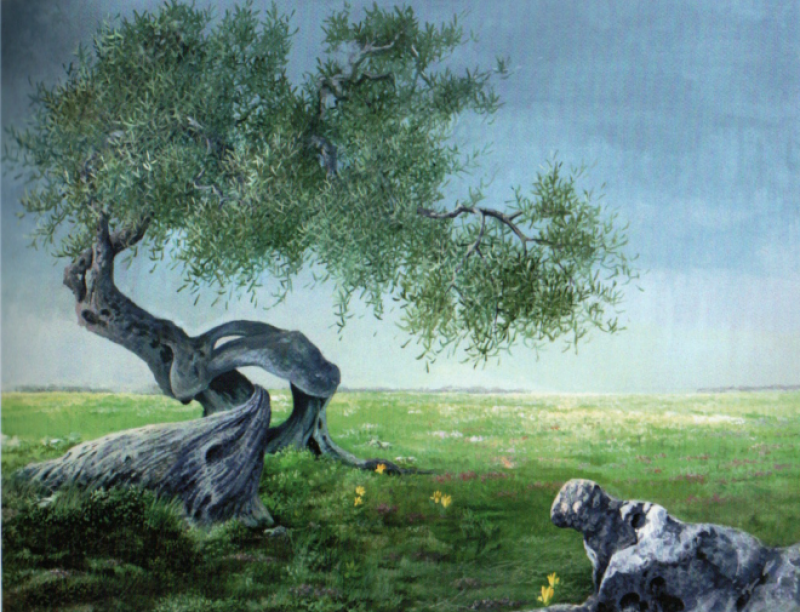 Radici Terra Anima