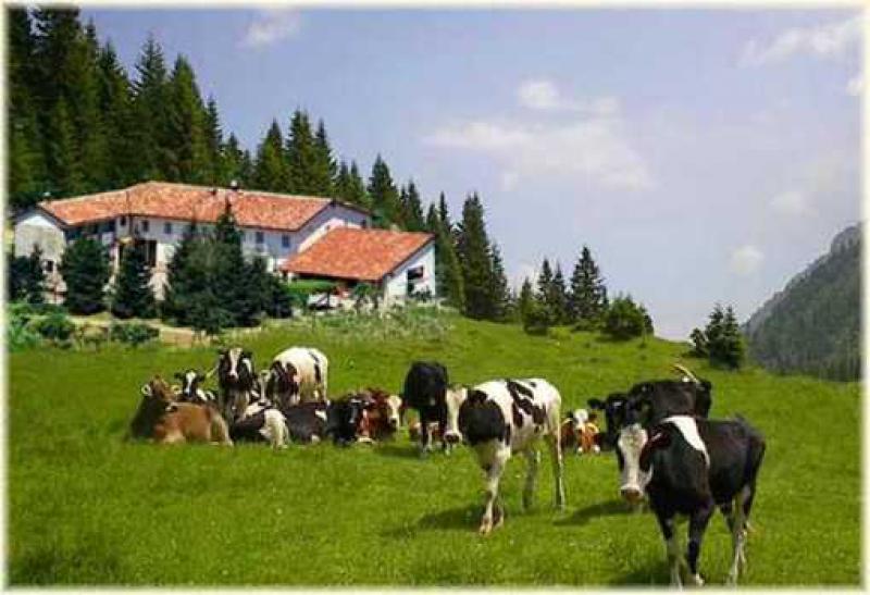 Carta europea   
per il Turismo sostenibile