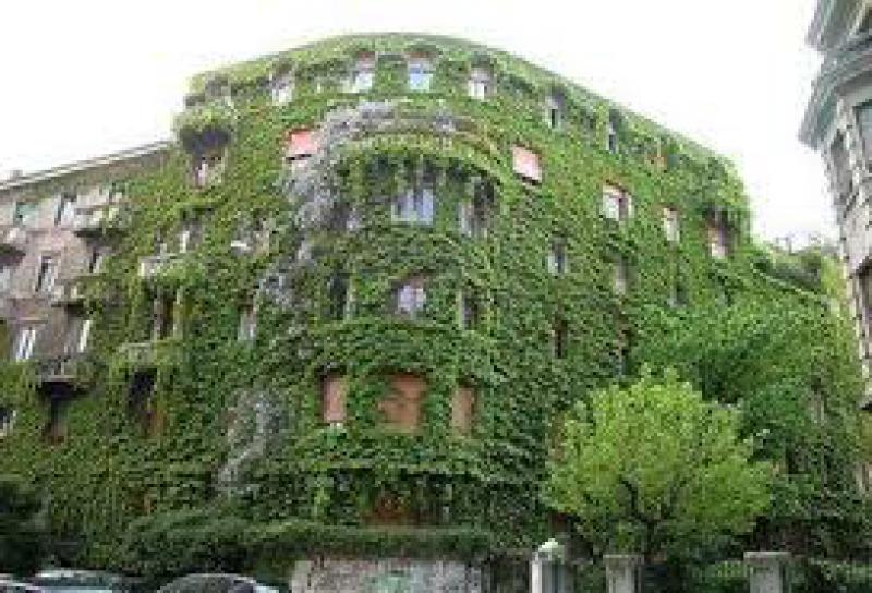 Città e verde urbano