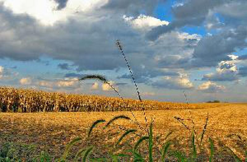 Agricoltura sociale