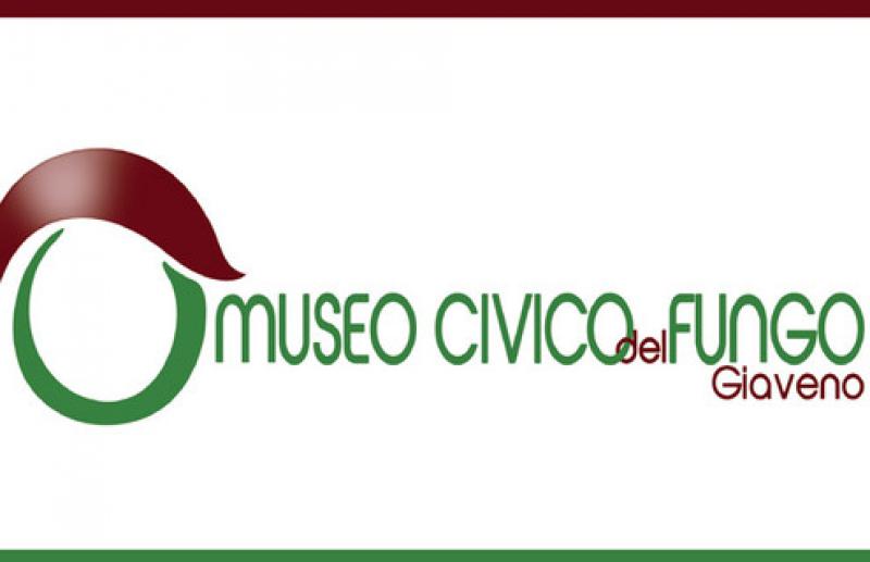 Museo del fungo