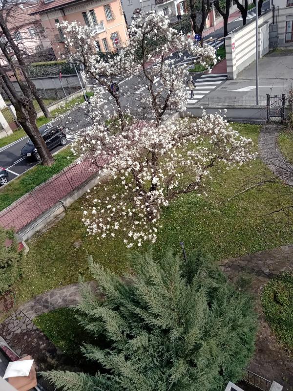 Profumo di Primavera