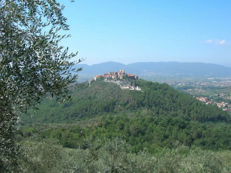 Trekking nel territorio Spezzino