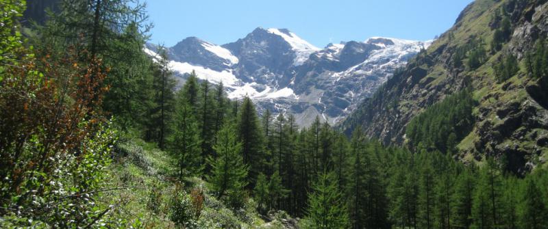Il Parco del Gran Paradiso - 2