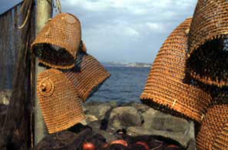 Museo del mare