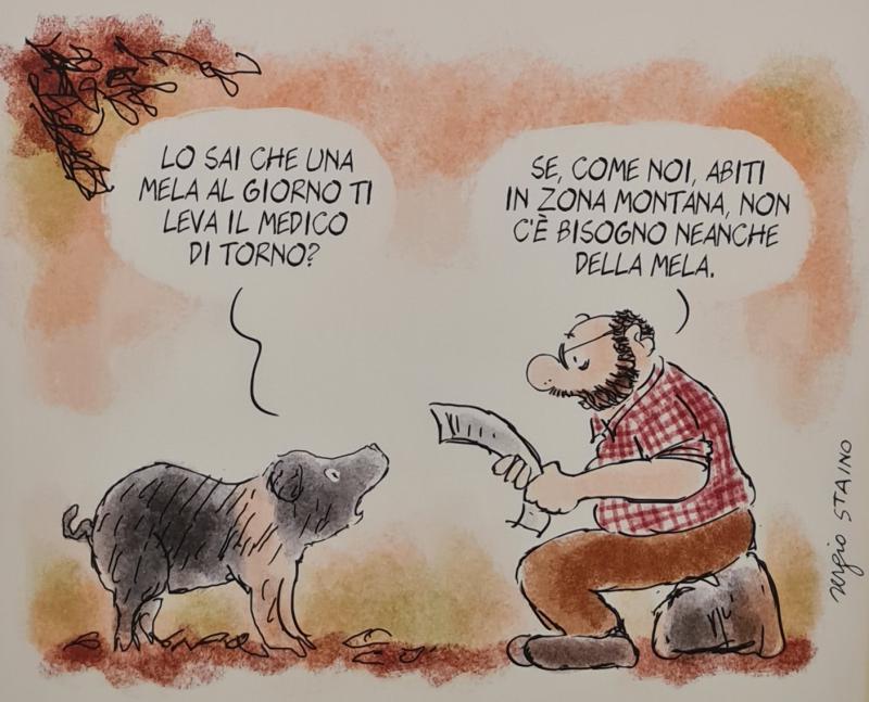 Incisioni rupestri camuni