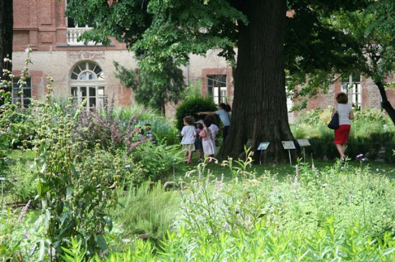 Maggio all' Orto Botanico