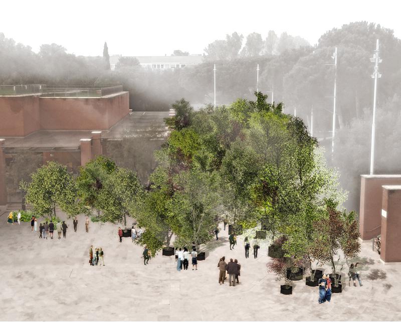 Un Bosco per Roma