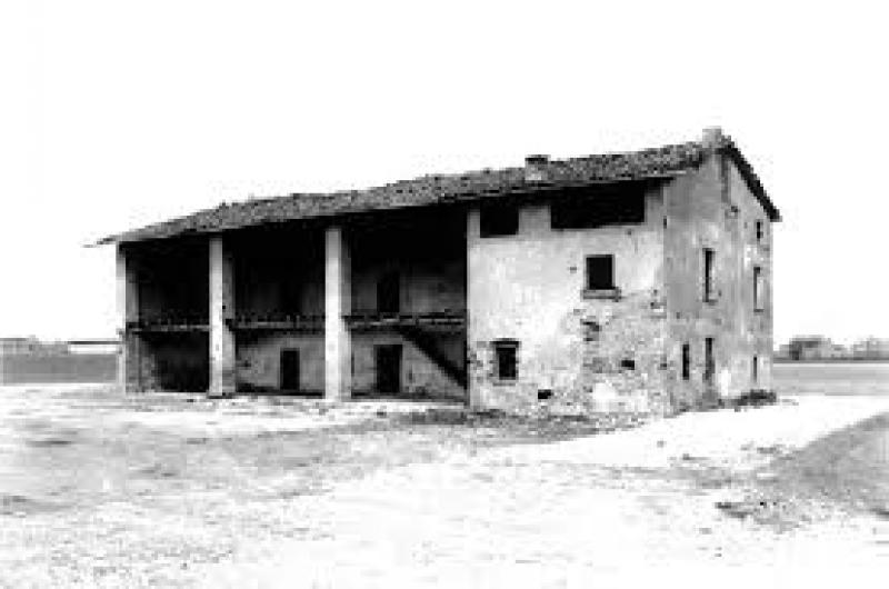 L'albero degli zoccoli