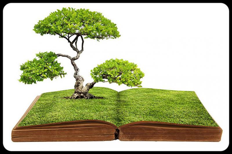 Laudato si'