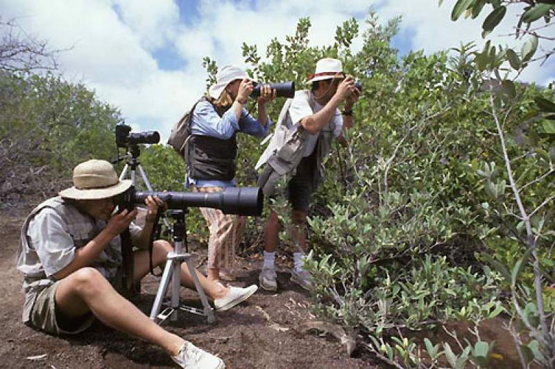 Campare di fotografia