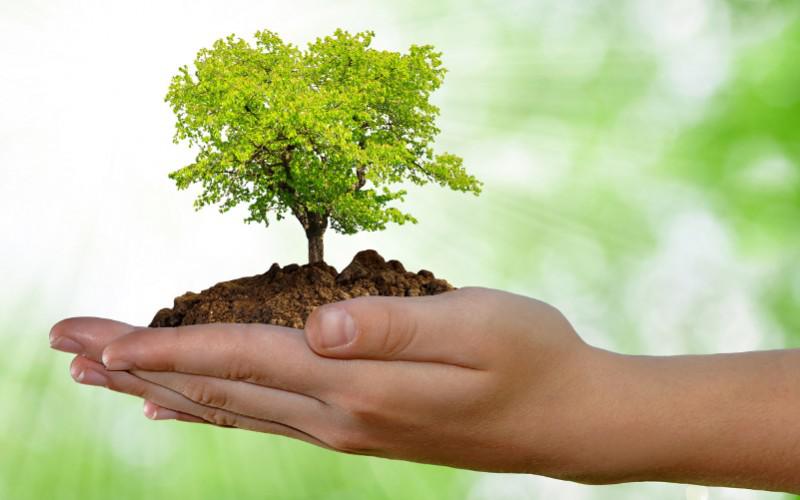 Agricoltura Sociale