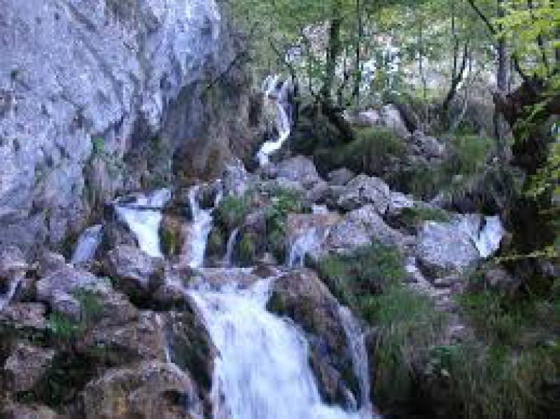 Il cammino del Perdono