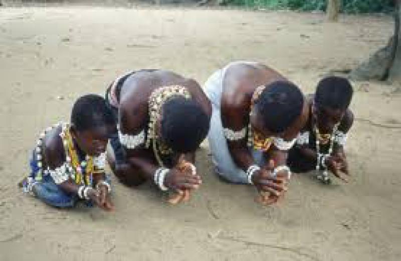 Amata Africa