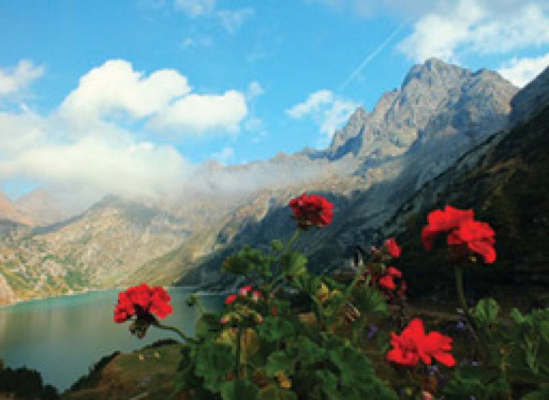 Festival delle Alpi