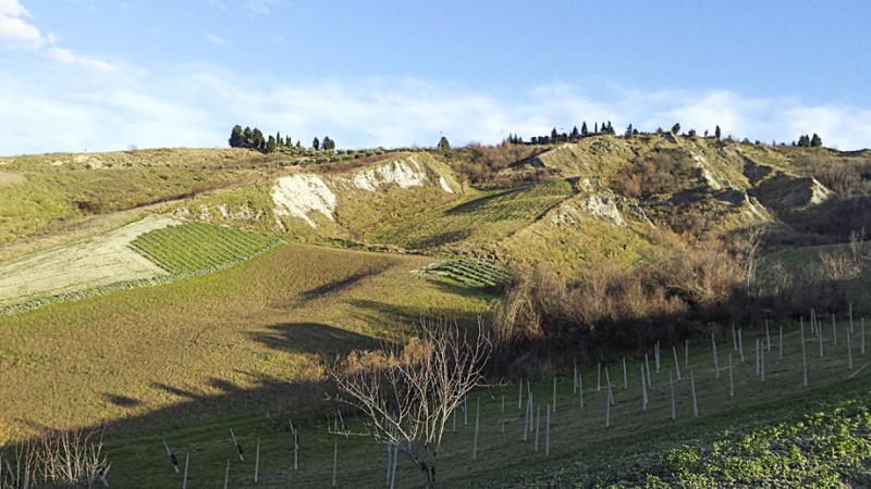 Il Cammino di Dante