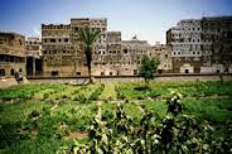 Sana a, Yemen