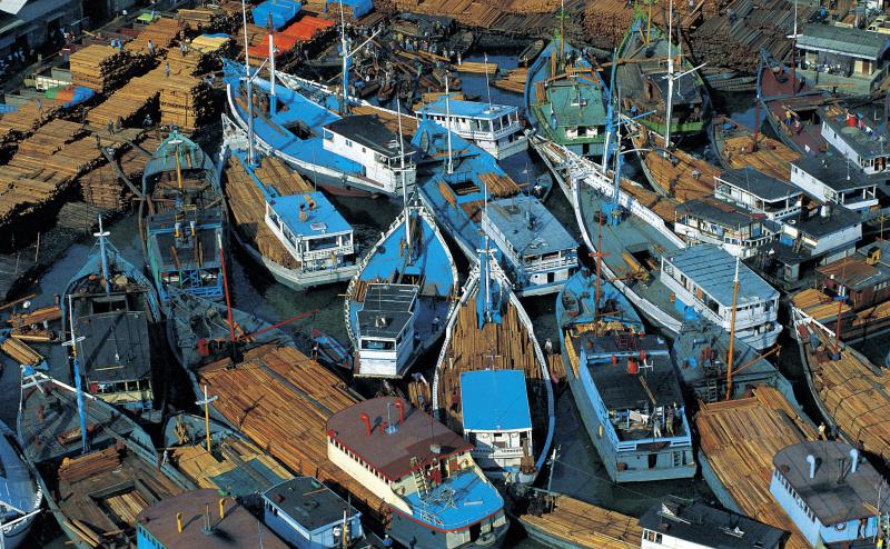 Sapore di Mare