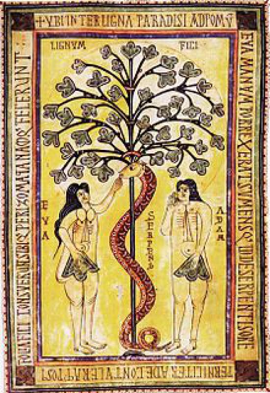 Alberologia