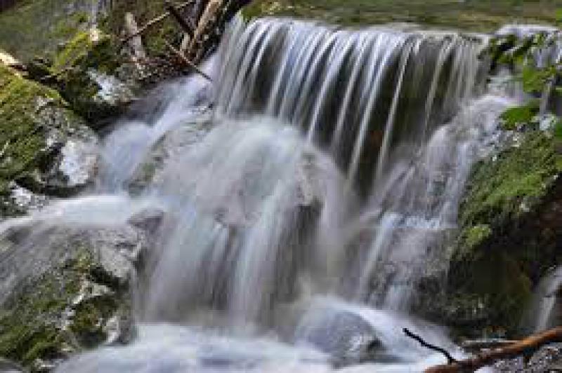 5 giugno - Giornata Mondiale dell'Ambiente