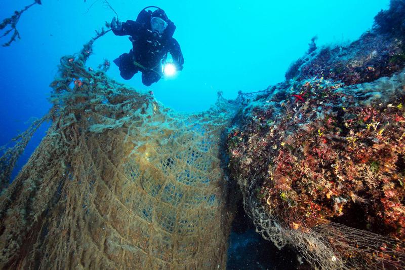 Rotary Mare Nostrum