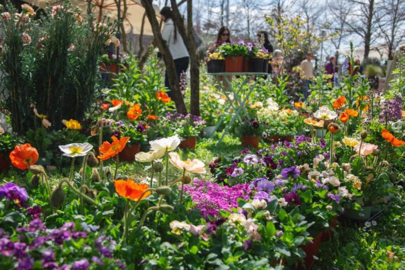 Il verde - il paesaggio