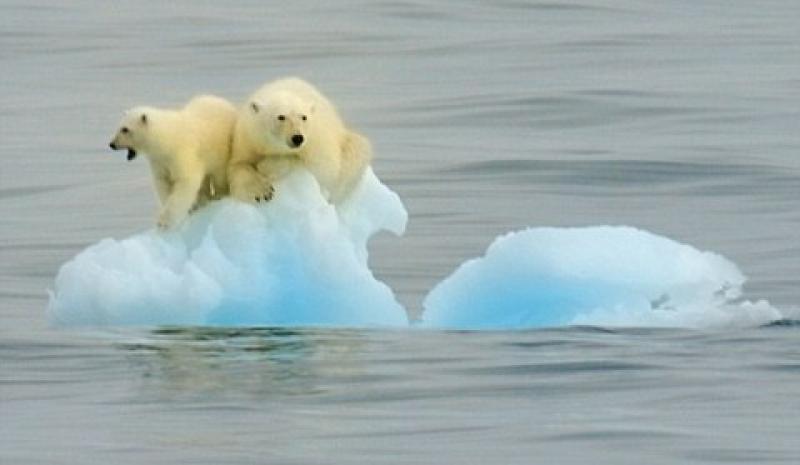Iceberg in libera uscita
