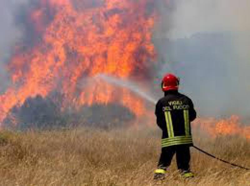 Incendi boschivi