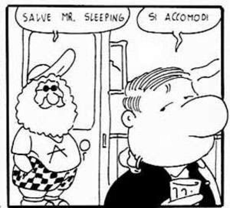 Big Sleeping