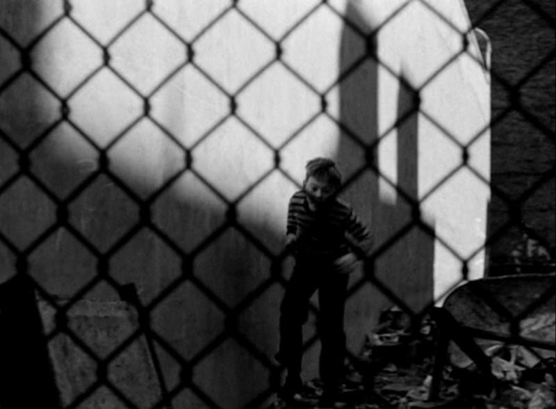 Bobby Driscoll