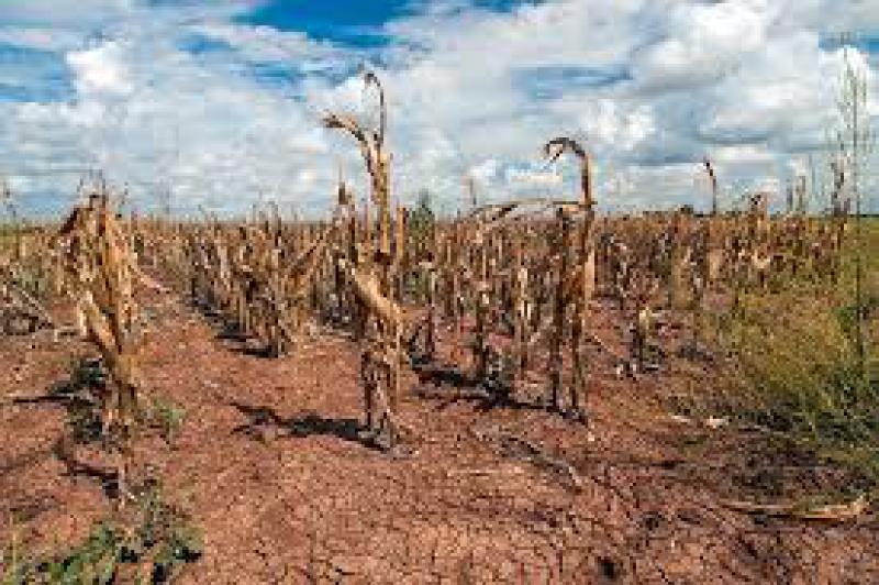 Se il clima cambia