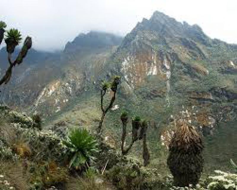 Sul favoloso Rwenzori