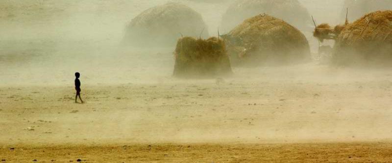 Desertificazione