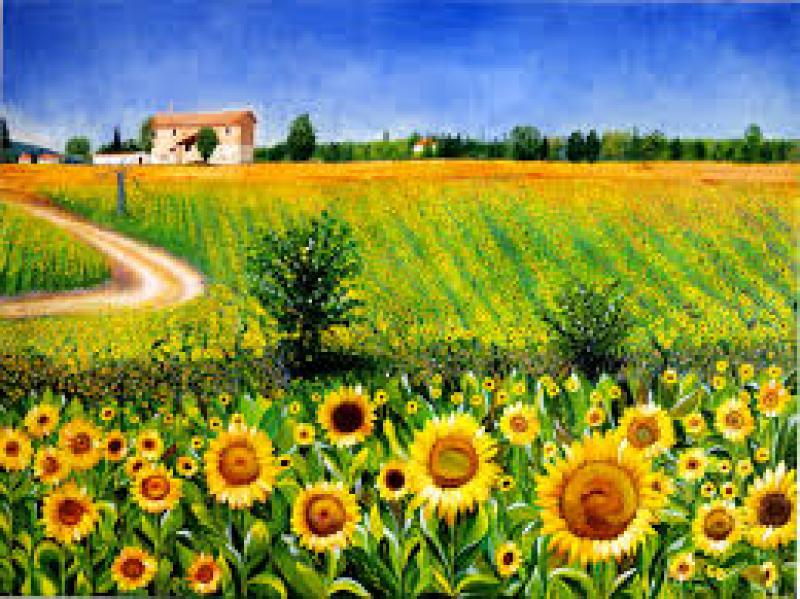 Il paesaggio è più importante...