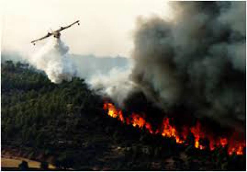 Incendi boschivi