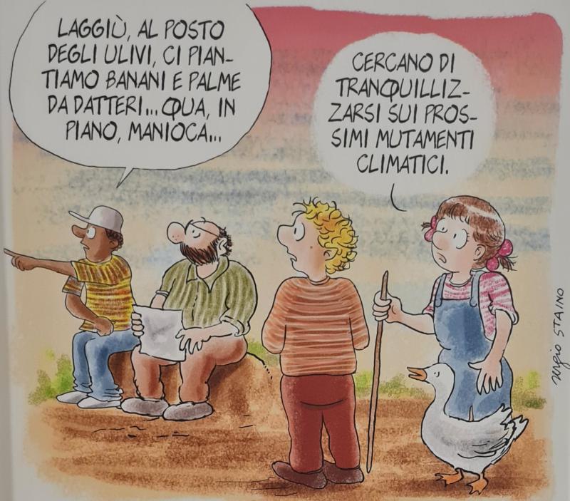 Incisioni rupestri camuni