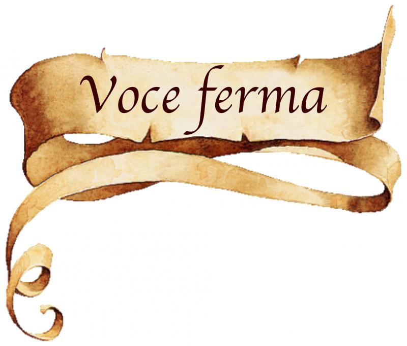 Voce ferma