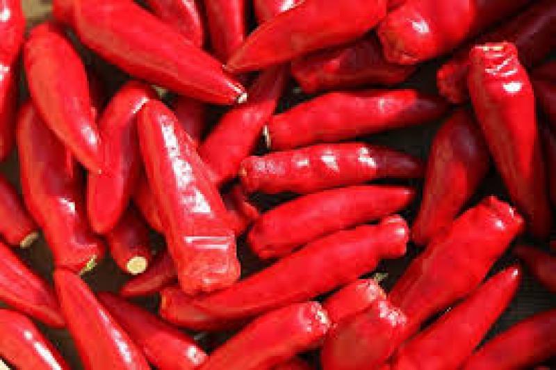 Cibo nocivo