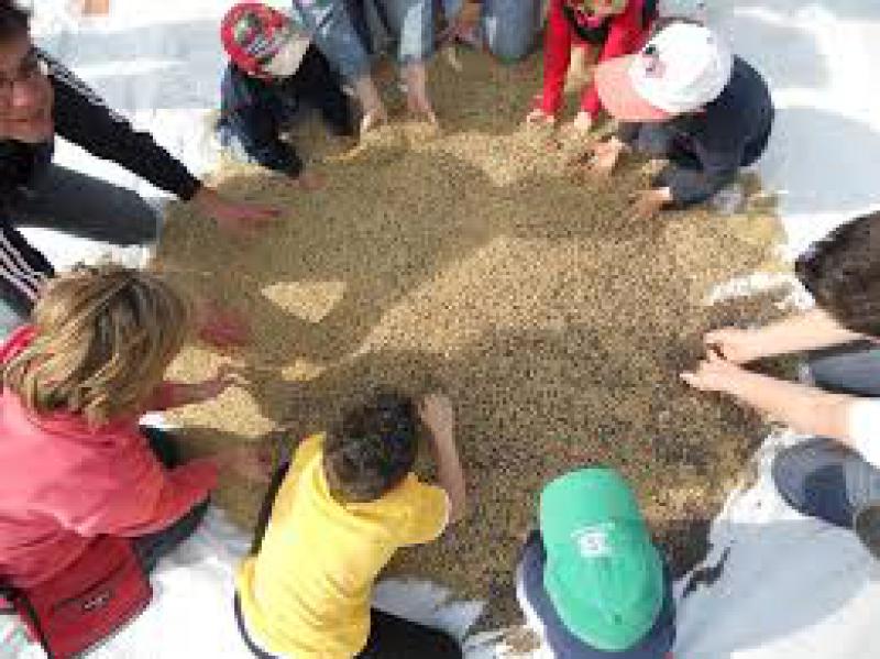 Agricoltura Sociale