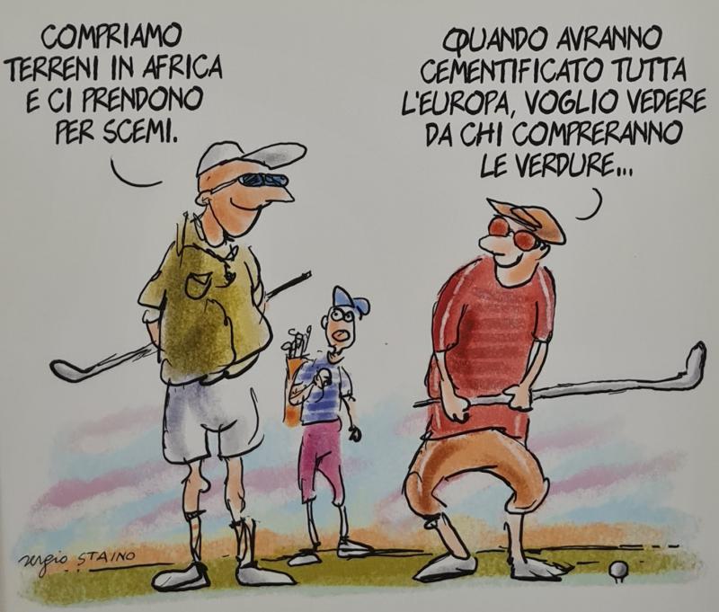 Incisioni rupestri camuni