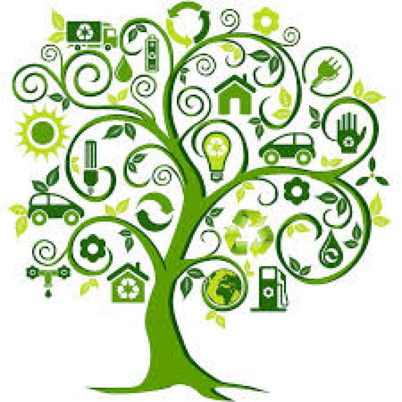 Bioeconomia nell'arco alpino