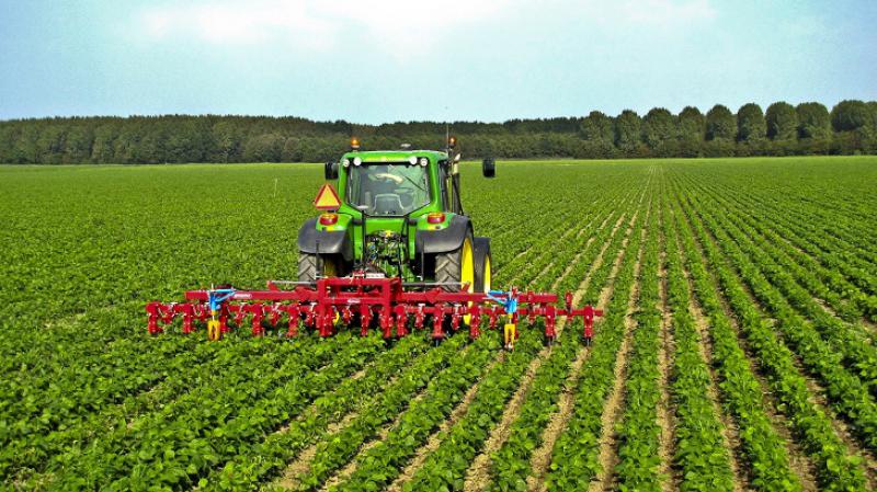 Per un'Agricoltura Umanistica