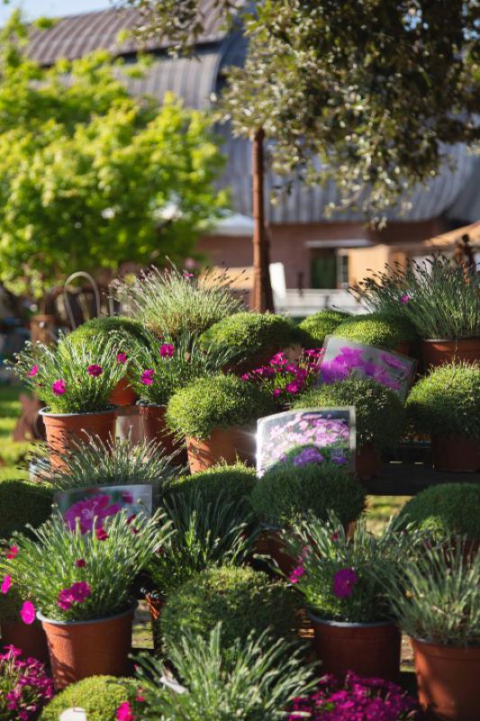 Il verde - il paesaggio