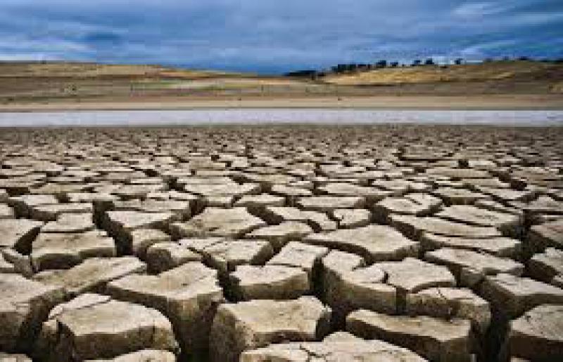Desertificazione