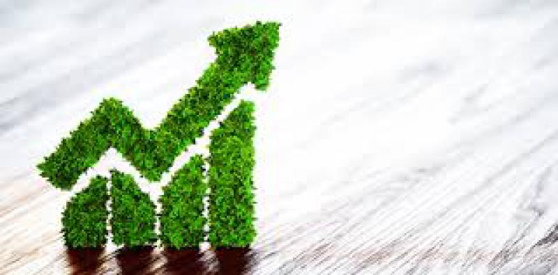 Bioeconomia nell'arco alpino