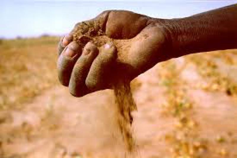 Desertificazione