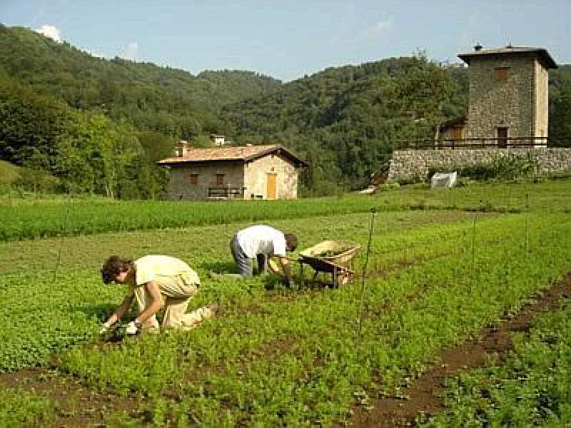 Agricoltura sociale