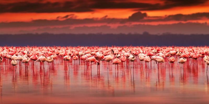 Nel cuore del Kenya