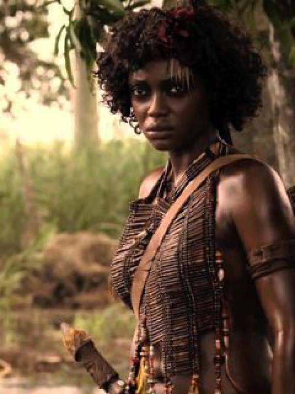 Festival del Cinema Africano,   
d’Asia e America Latina